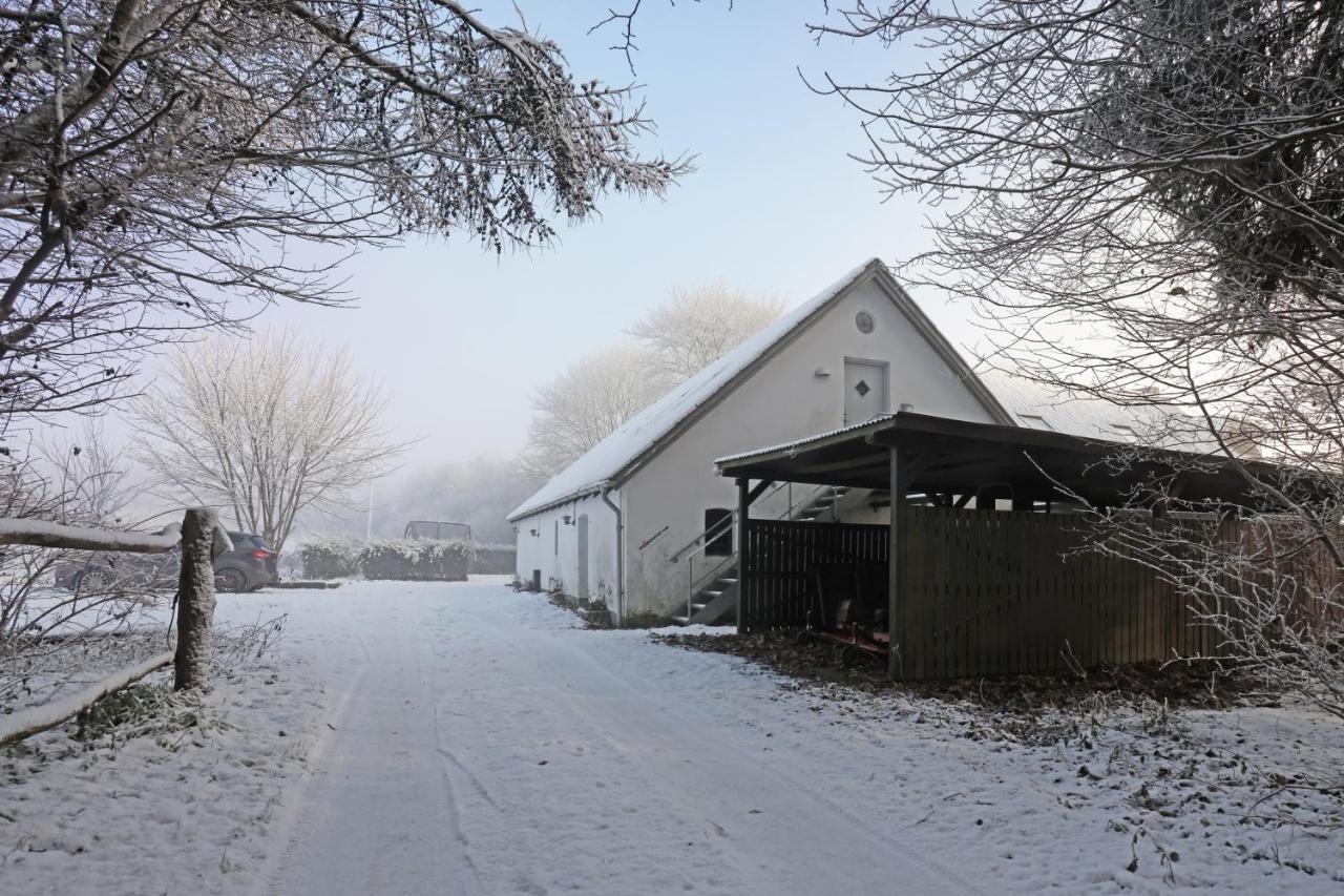 Storm'S Stay - Near Mch & Boxen Herning Exterior photo